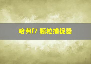 哈弗f7 颗粒捕捉器